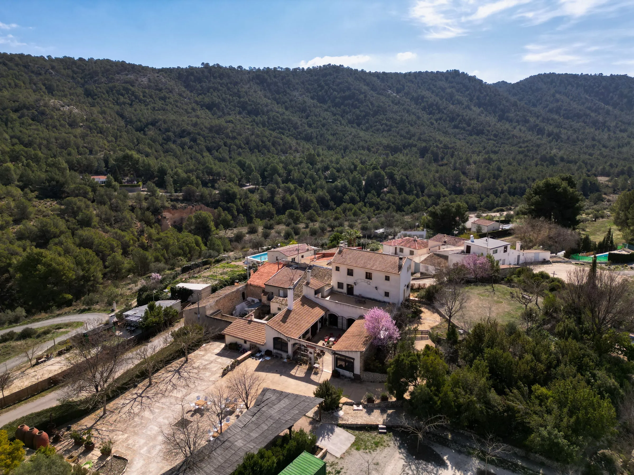 Cocina mediterránea