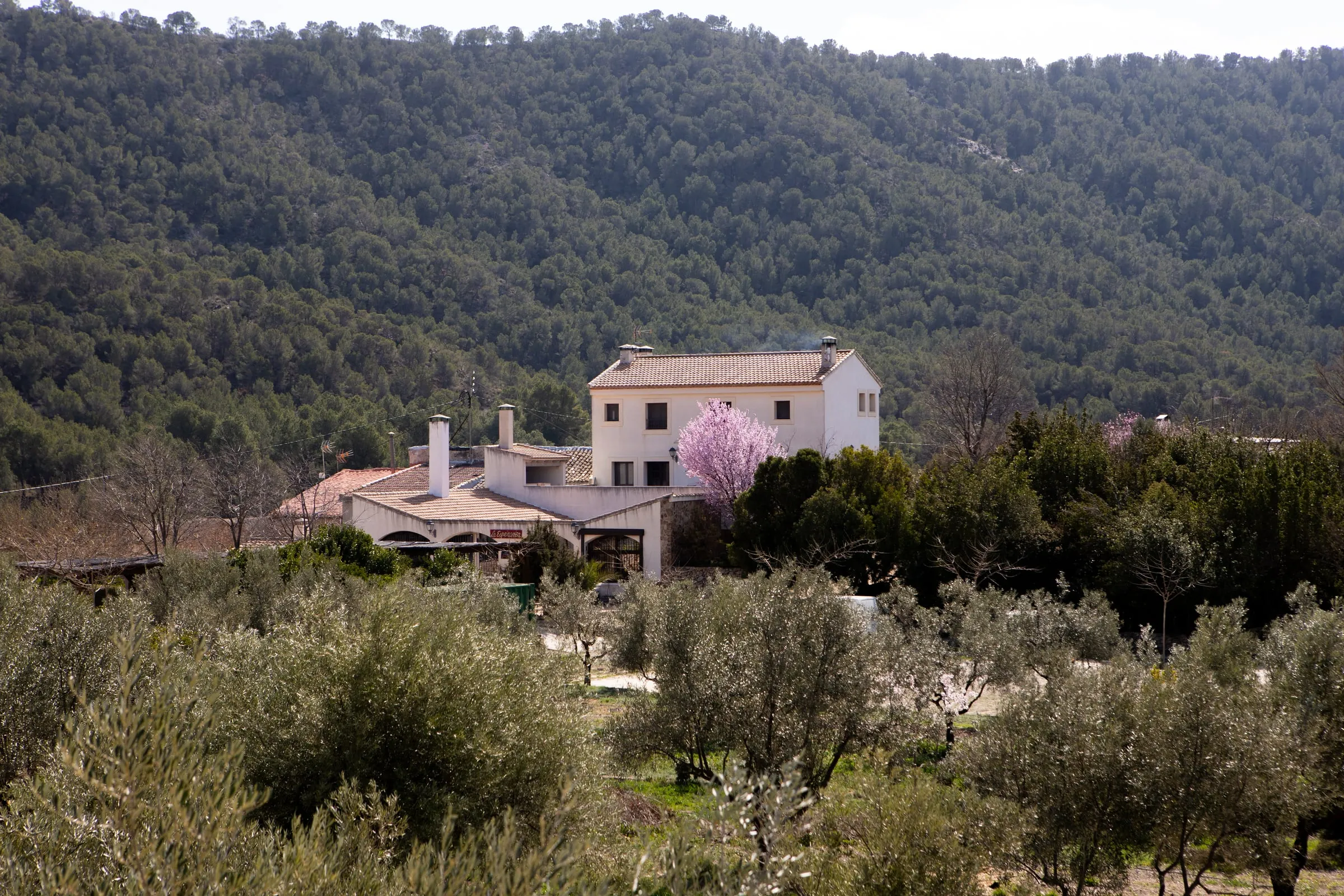 Mesa imperial exterior