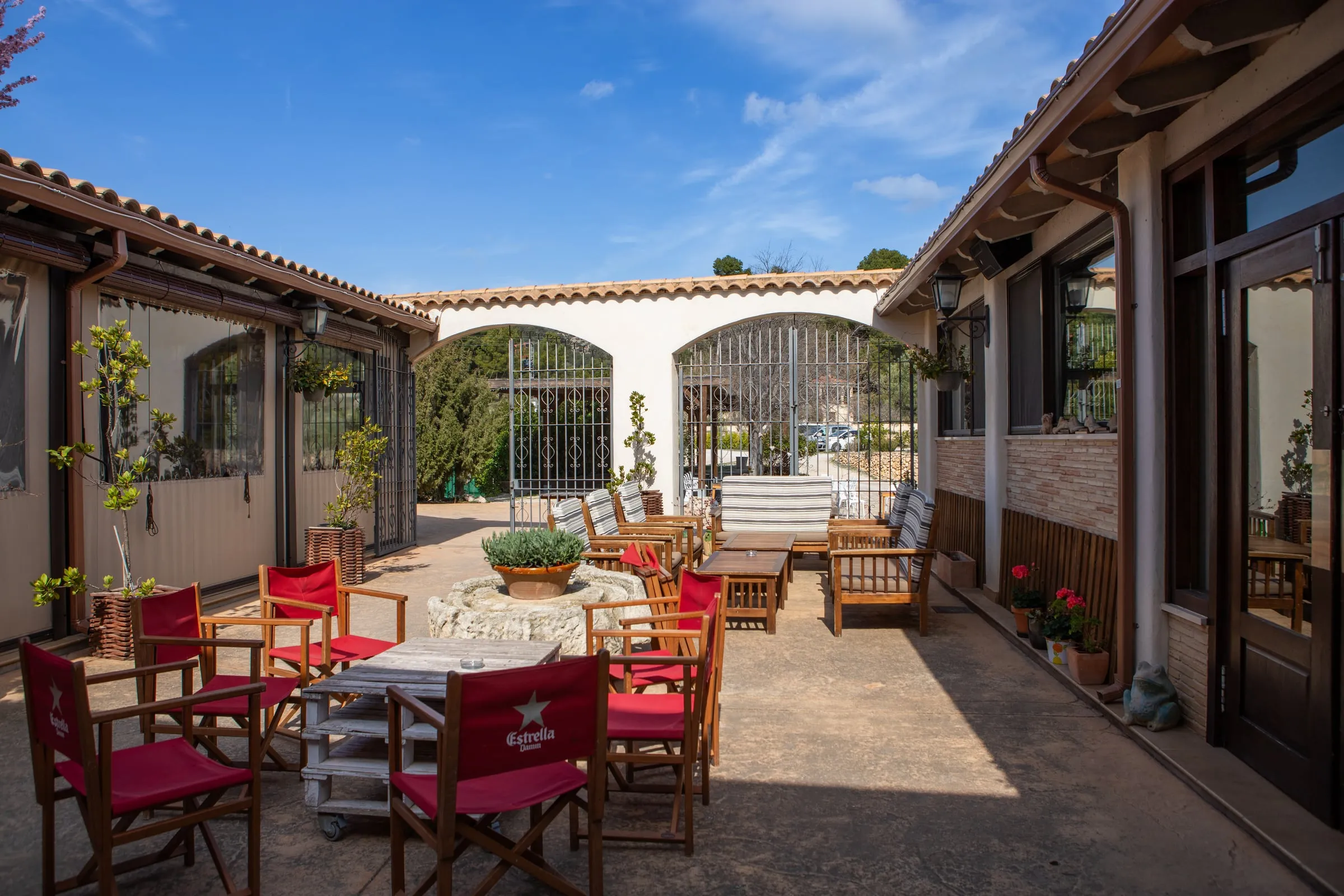 Vista finca entre olivos