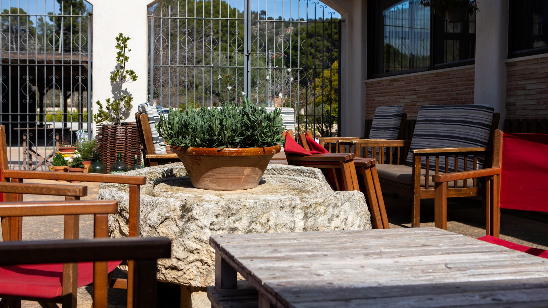 Restaurante con terraza en Petrer: comer entre olivos